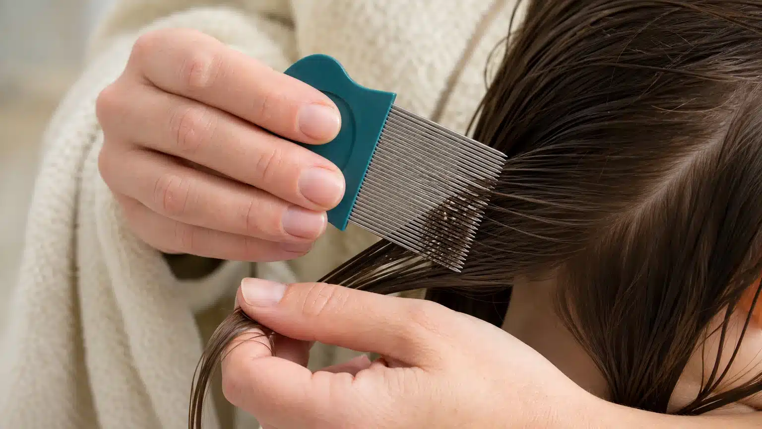 Peignage minutieux d’une mèche avec un peigne anti-poux métallique