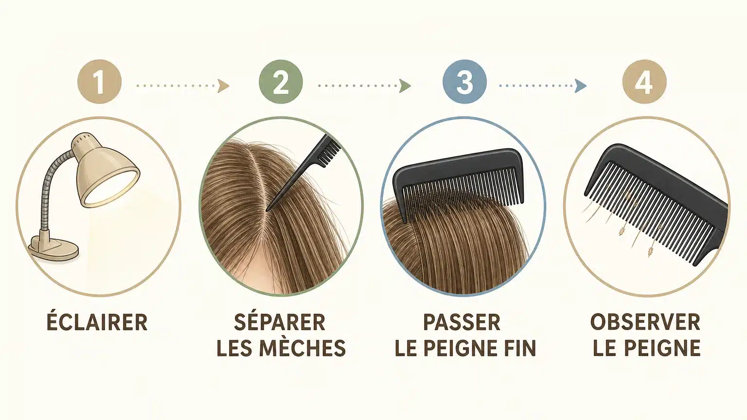 Checklist en quatre étapes pour rechercher des lentes et des poux